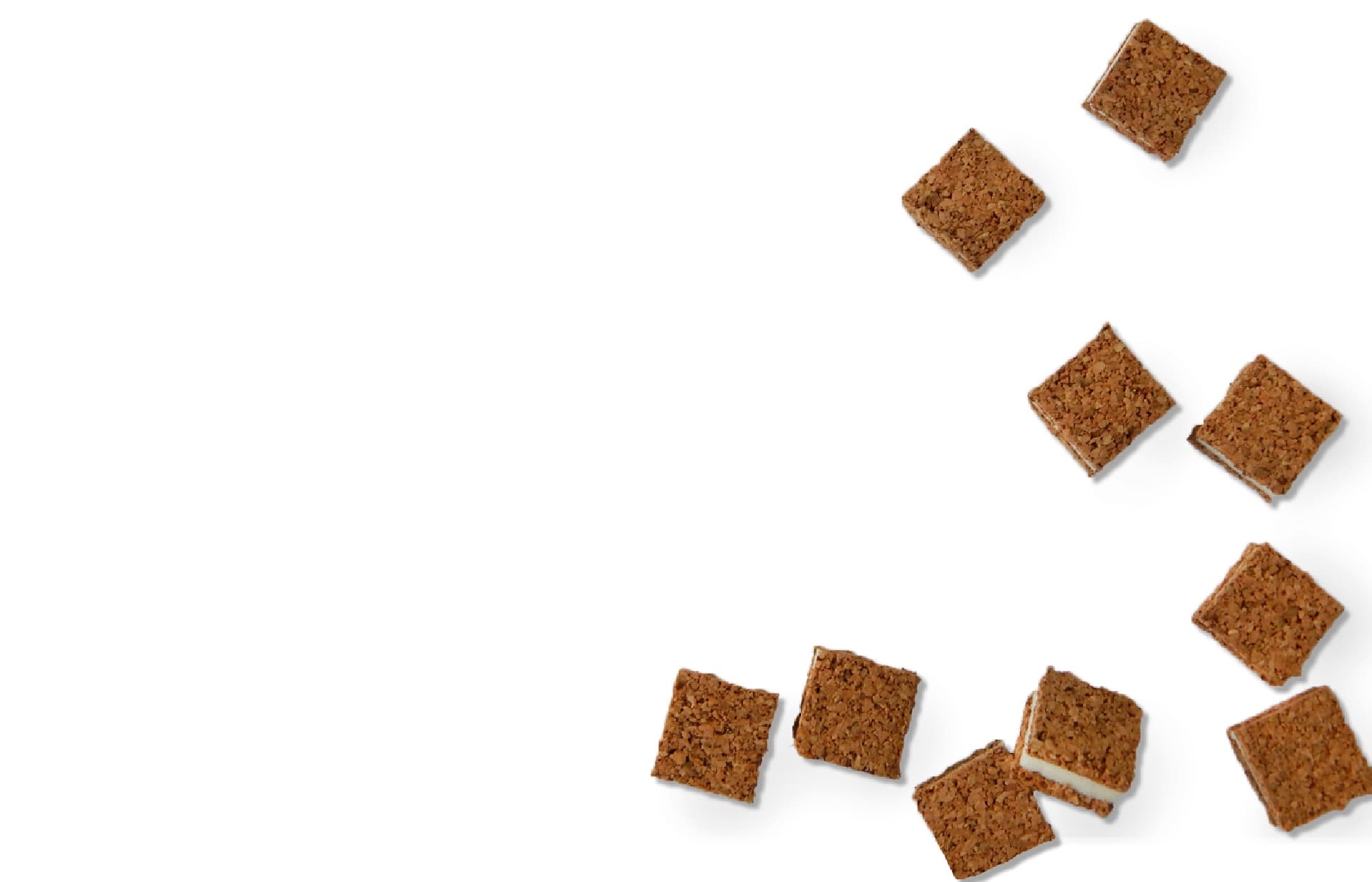 SafeGlass Cork Pads Types